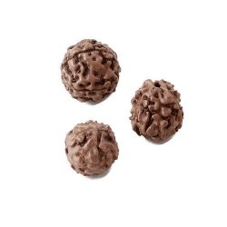 Rudraksha bead, genuine, nut shaped, brown, 6-8mm, 6pcs