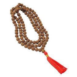 Rudraksha bead, genuine, nut shaped, brown, 6-8mm, 6pcs