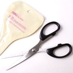 Hobbyschere f&uuml;r die Schmuckherstellung, spitz, Eisen, L&auml;nge 16 cm, 1 Stk