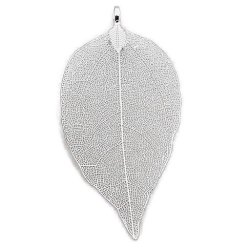 Anh&auml;nger, echtes Blatt mit &Ouml;se, versilbert, ca. 70x40 mm, 1 Stk.